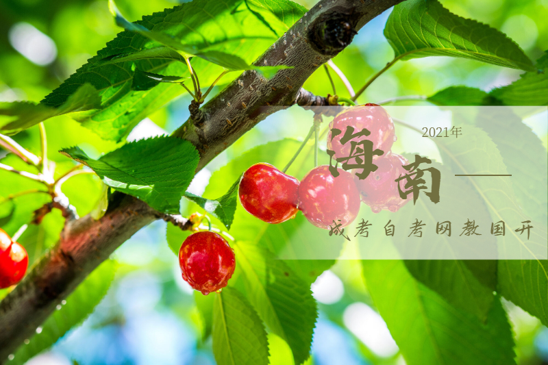 海南東方成考自考網(wǎng)教國(guó)開的區(qū)別