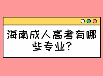 海南成人高考有哪些專業?
