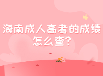 海南成人高考的成績怎么查?