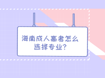 海南成人高考怎么選擇專業?