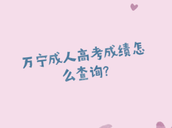 萬寧成人高考成績怎么查詢?
