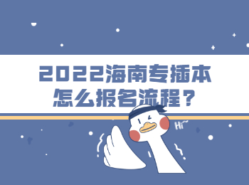 2022海南專插本怎么報(bào)名流程