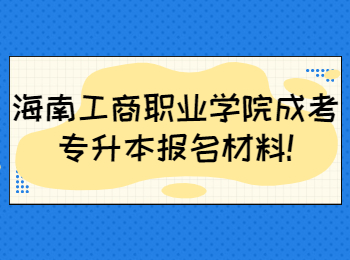 海南工商職業學院成考專升本報名材料