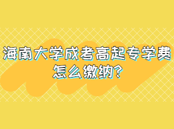 海南大學成考高起專學費怎么繳納