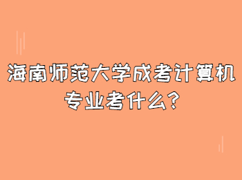 海南師范大學(xué)成考計(jì)算機(jī)專業(yè)考什么