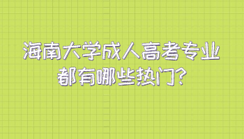 海南大學成人高考專業都有哪些熱門