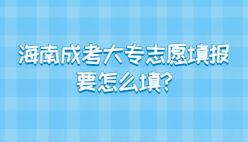 海南成考大專志愿填報要怎么填